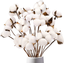 Domestar Cotton Stems, Natural Dried Cotton 8 Packs Total 15 Bolls Cotton Sprigs - £11.30 GBP