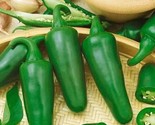 50 Early Jalapeno Hot Pepper Seeds Non-Gmo Heirloom Fast Shipping - $8.99