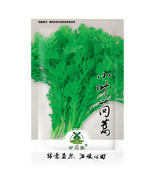 SL 2000Pcs Garland Chrysanthemum Seeds Tong Ho Edible Chrysanthemum Coro... - $51.48 MXN