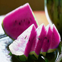 15+ Juicy Pink Watermelon USA Large Summer Time Planting Seeds Garden Fruit - £10.98 GBP