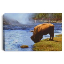 Canvas Print "The Bison" - $39.59 - $59.39