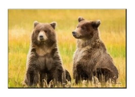 Wall Decor Two Brown Bears In The Grass Painting Printed Canvas Giclee - £7.44 GBP+
