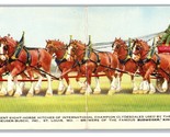 Budweiser Eight-Horse Wagon Folding Postcard St Louis MO Chrome Postcard... - $4.90