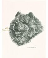 #256 BLACK CHOW CHOW portrait dog art print * Pen and ink drawing by Jan... - $12.50