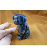 (Y-DOG-LA-722) blue LABRADOR Dog carving FIGURINE gemstone dogs DALMATIA... - $23.96 CAD