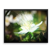 Framed Art Flower Poster - Ready To Hang Picture - Wall Decor - $66.83