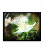 Framed Art Flower Poster - Ready To Hang Picture - Wall Decor - $91.08 CAD