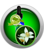 Neroli (Citrus Aurantium, Orange Blossom) Essential Oil - $6.00+
