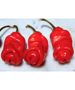 SKM Caspian Pink Tomato Seeds Easy to Grow - $15.05 CAD