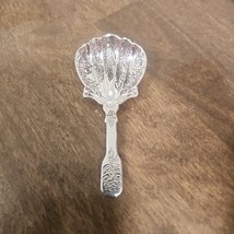 Sterling Silver Clam Shaped Pattern Sugar Shell Spoon Vintage Shell - $644.41 MXN