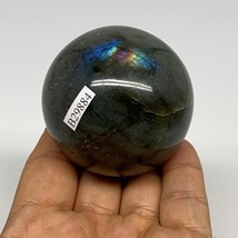 228.2g, 2.1&quot;(55mm), Labradorite Sphere Gemstone,Crystal @Madagascar, B29884 - £22.01 GBP