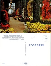 Pennsylvania(PA) Kennett Square Longwood Gardens Chrysanthemums VTG Postcard - £7.39 GBP
