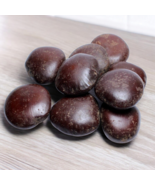 Organic DRIED Natural Entada rheedii Kulwa Qurs Al-Qamar كلوة قرص القمر - $314.63 MXN+