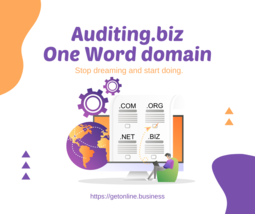 Auditing.biz - 2 years old .BIZ Top Finance/Accounting One-Word Domain F... - $355.30