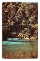 Big Spring State Park Scenic View Van Buren Missouri MO Chrome Postcard C17 - $4.42