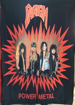 PANTERA Power Metal FLAG CLOTH POSTER BANNER CD Thrash Metal - £15.98 GBP