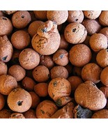 6.5 lb Clay Pebbles Growing Media Expanded Clay Hydroponic Horticultural... - £21.23 GBP