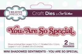 Creative Expressions Mini Craft Dies By Sue Wilson-You Are So Special, Shadowed  - £17.77 GBP