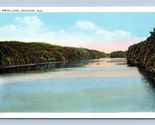 Swan Lake Decatur Alabama AL UNP Unused WB Postcard P1 - £3.07 GBP