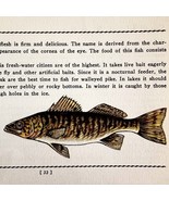Dore 1939 Fresh Water Fish Art Gordon Ertz Color Plate Print PCBG20 - $42.03 CAD