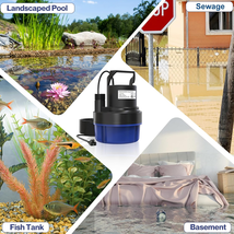 Item image 8