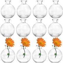 Set Of 12 Small Glass Ball Bud Vases By Soujoy, Special Mini Low, Parties. - £38.33 GBP