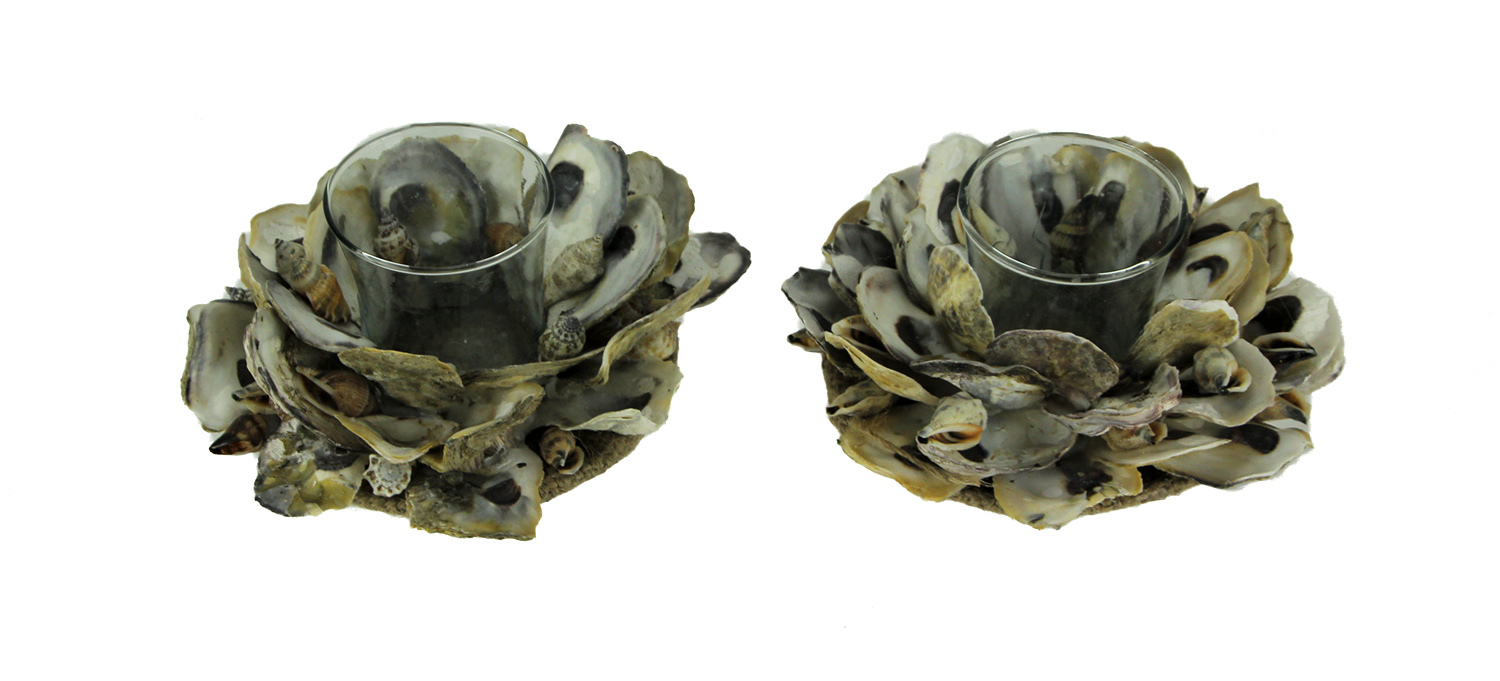 Scratch & Dent Natural Oyster Shell and Glass Tealight Candle Holder Set of 2 - $29.68