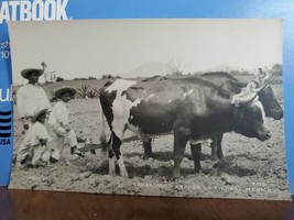 Vtg Photo Postcard Mexican Farmers Plowing The Land, Oxen,  Osuna, 1930&#39;s? - £4.66 GBP