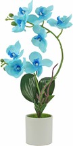 Artificial Orchid Silk Phalaenopsis Flowers Faux, Blue Turquoise Gradient - $36.99