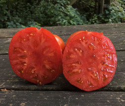 50 Seeds Sweet Scarlet Tomato Heirloom Vegetable Tomatoe Garden  - £5.53 GBP