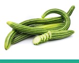 FMG Armenian Cucumber Mix Seeds Snake Cucumber On 500 Seeds Seed Fast Gr... - $15.08