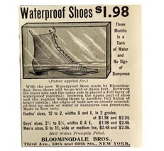 Bloomingdale Waterproof Shoes 1894 Advertisement Victorian New York City... - £3.98 GBP