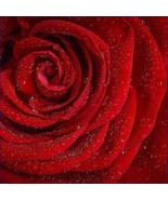 The Energy Of Love From Merlin - €1,73 EUR
