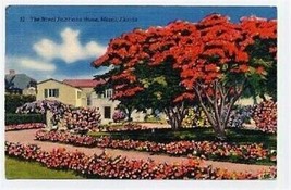 Royal Poinciana Home Linen Postcard Miami Florida - $9.90