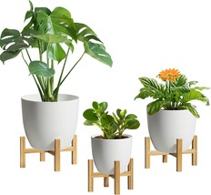 T4U 5 - 7 Inch Self Watering Planter With Bamboo Stands Set, Indoor Herb Plant. - £33.19 GBP