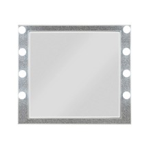 Sliverfluff 41&quot;x36&quot; Mirror w/Light, Mirrored &amp; Champagne Finish - $276.00