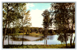 Broman Service Centre Lake View Topley B.C. Canada Postcard Unposted - £3.84 GBP