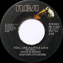 Dave &amp; Sugar: Golden Tears / Feel Like A Little Love 7&quot; 45 rpm Vinyl Single RCA - £1.81 GBP