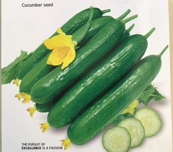 15 SEEDS CHINESE FRUIT CUCUMBER HEIRLOOM SEEDS BOOST GARDEN FAST - $8.35