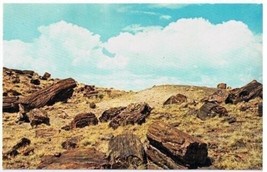 Arizona Postcard Petrified Forest National Monument - £2.36 GBP