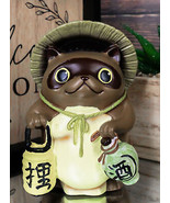 Auspicious Japanese Tanuki Raccoon Dog With Lantern And Sake Figurine Da... - $28.58 CAD