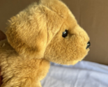 SANDI the Plush GOLDEN RETRIEVER Dog Stuffed Animal - Douglas Cuddle Toy... - £10.06 GBP