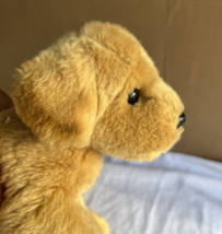 SANDI the Plush GOLDEN RETRIEVER Dog Stuffed Animal - Douglas Cuddle Toy... - $12.82