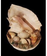 Nautical Conch Shell Sculptural Decor, Coastal Beach House Bathroom - £37.95 GBP
