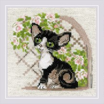 RIOLIS Counted Cross Stitch Kit 6&quot;X6&quot;-Cornish Rex Kitten (14 Count) (Pac... - $42.99