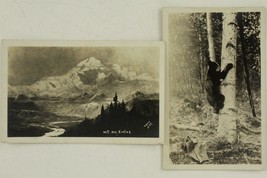 Vintage Postcard RPPC Real Photo MT McKINLEY Cann # 69 Denali Alaska Black Bear - £12.65 GBP