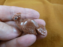 Y-BIR-PEA-10) baby red white PEACOCK carving SOAPSTONE Peru love little peacocks - £6.86 GBP