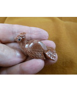 Y-BIR-PEA-10) baby red white PEACOCK carving SOAPSTONE Peru love little ... - €7,40 EUR
