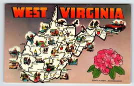 Postcard Greetings From West Virginia Map Chrome State Flower Rhododendron WV - £6.96 GBP