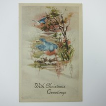 Vintage Christmas Postcard Snowy Creek Blue Birds in Trees Gibson Antique 1922 - £7.96 GBP